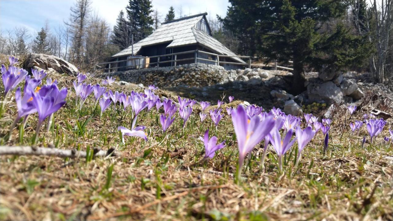 Pehta Velika Planina Stahovica